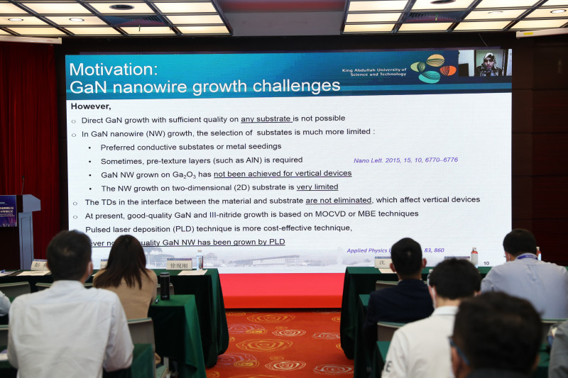 Iman S. ROQAN--沙特阿拉伯阿卜杜拉國王科技大學(xué)副教授-1