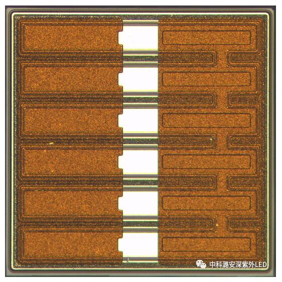 QQ截圖20220609190509