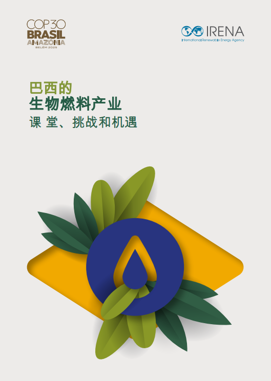 巴西的生物燃料產(chǎn)業(yè)：課堂、挑戰(zhàn)和機(jī)遇